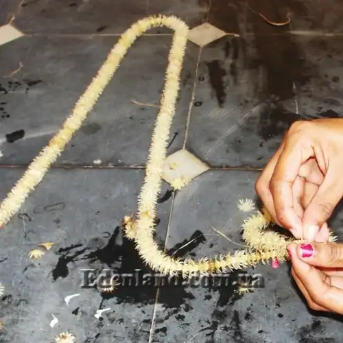 Изображение гирлянда из цветов