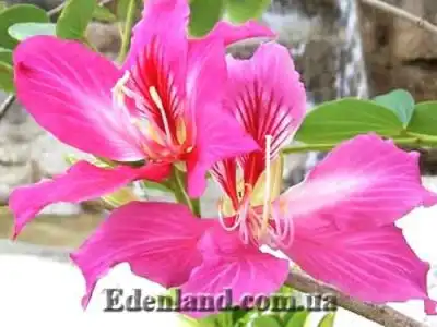 Новое поступление продукции МАЙ 2021!