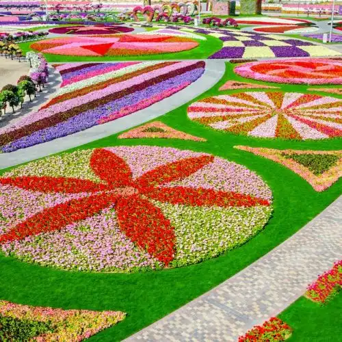Изображение В Дубай открылся самый большой цветочный парк в мире - Dubai Miracle Garden
