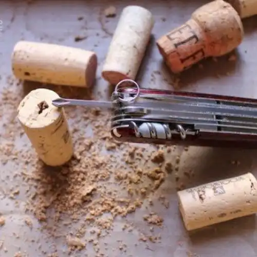 Зображення Квіти на холодильнику