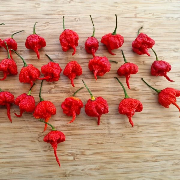 Зображення Перець Кароліна Ріпер червоний  - Carolina Reaper Red