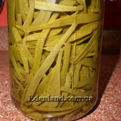 Зображення мариноване листя