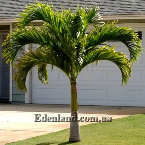 Свежие осенние поступления октябрь 2025 года.