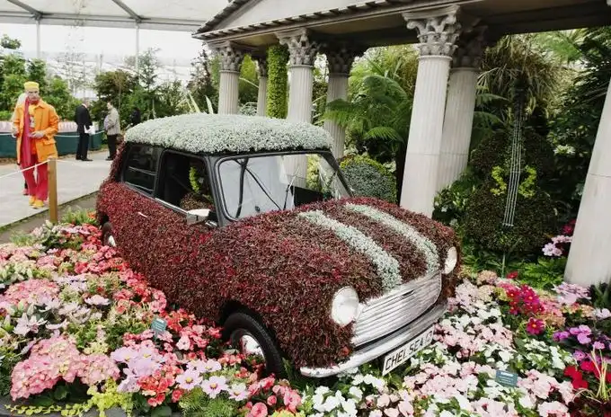 Квіткове шоу у Челсі (Chelsea Flower Show)
