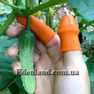 Изображение Секатор на большой палец