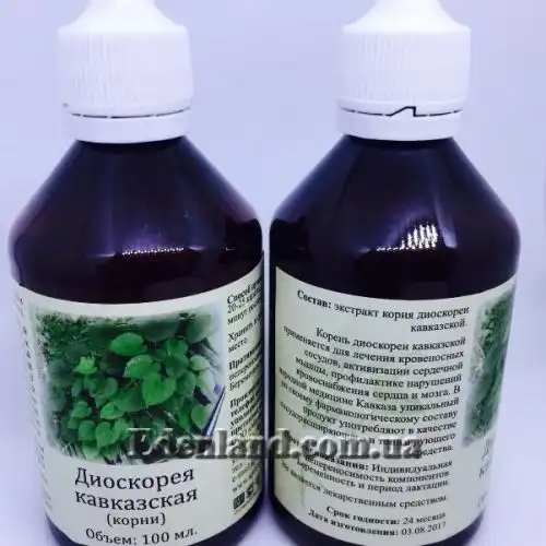 Зображення Діоскорея кавказька - Dioscorea caucasica 