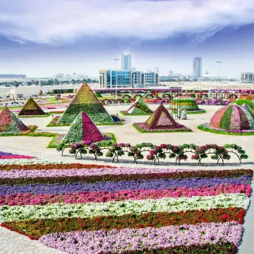 Изображение В Дубай открылся самый большой цветочный парк в мире - Dubai Miracle Garden