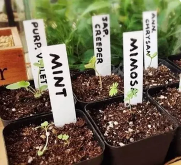 Изображение Табличка для подписи рассады большая