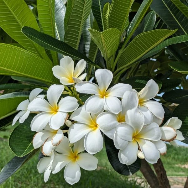 Эксклюзивные новинки в июле 2025 года.