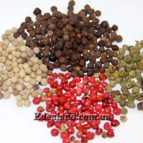 Зображення Перець чорний - Piper nigrum 