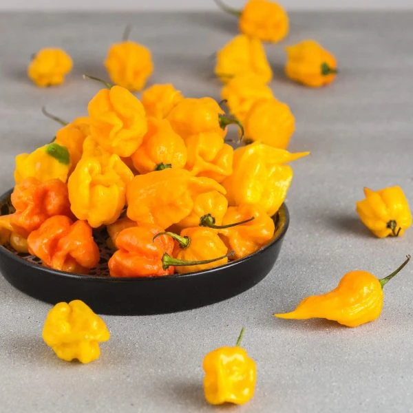 Зображення Перець Кароліна Ріпер жовтий - Carolina Reaper Yellow