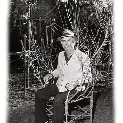 Изображение Цирк деревьев