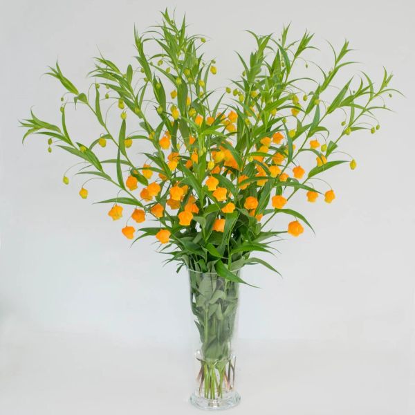 Изображение цветы в букете