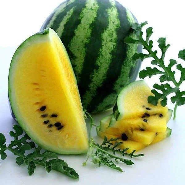 Изображение Арбуз Янусик