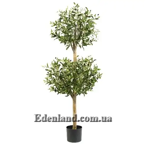 Изображение фигурная обрезка