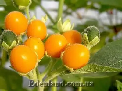 Новое поступление продукции. Сентябрь 2018