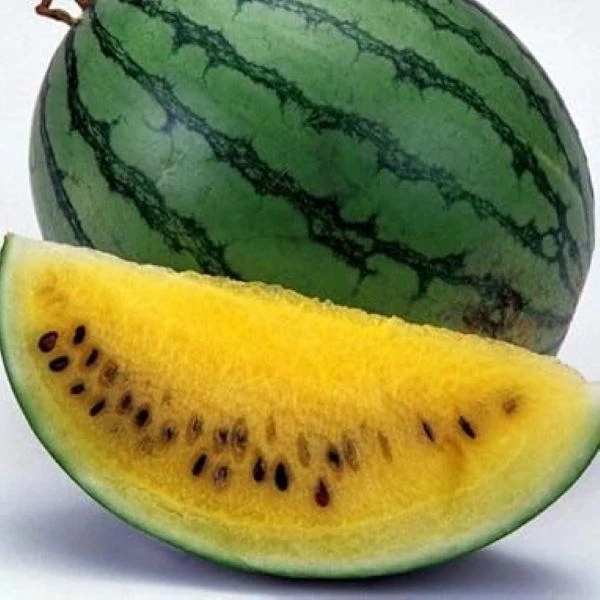 Изображение Арбуз Янусик