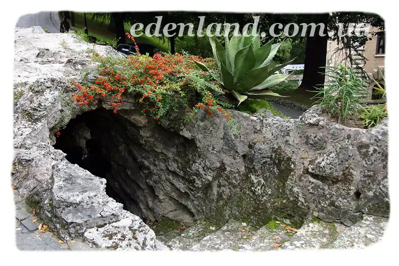 Изображение Красивейшие сады Ватикана