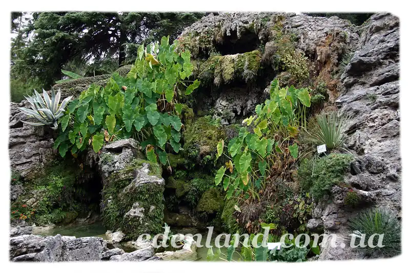 Изображение Красивейшие сады Ватикана