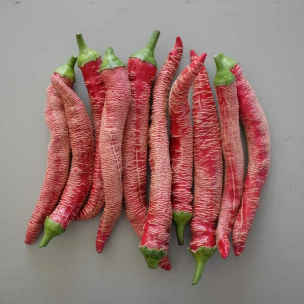 Зображення Перець Режа Македонський - Rezha Macedonian 