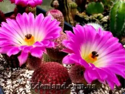 Новое поступление продукции АПРЕЛЬ 2021!