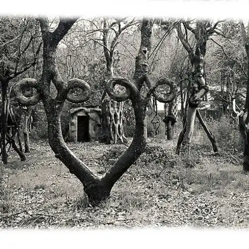 Изображение Цирк деревьев