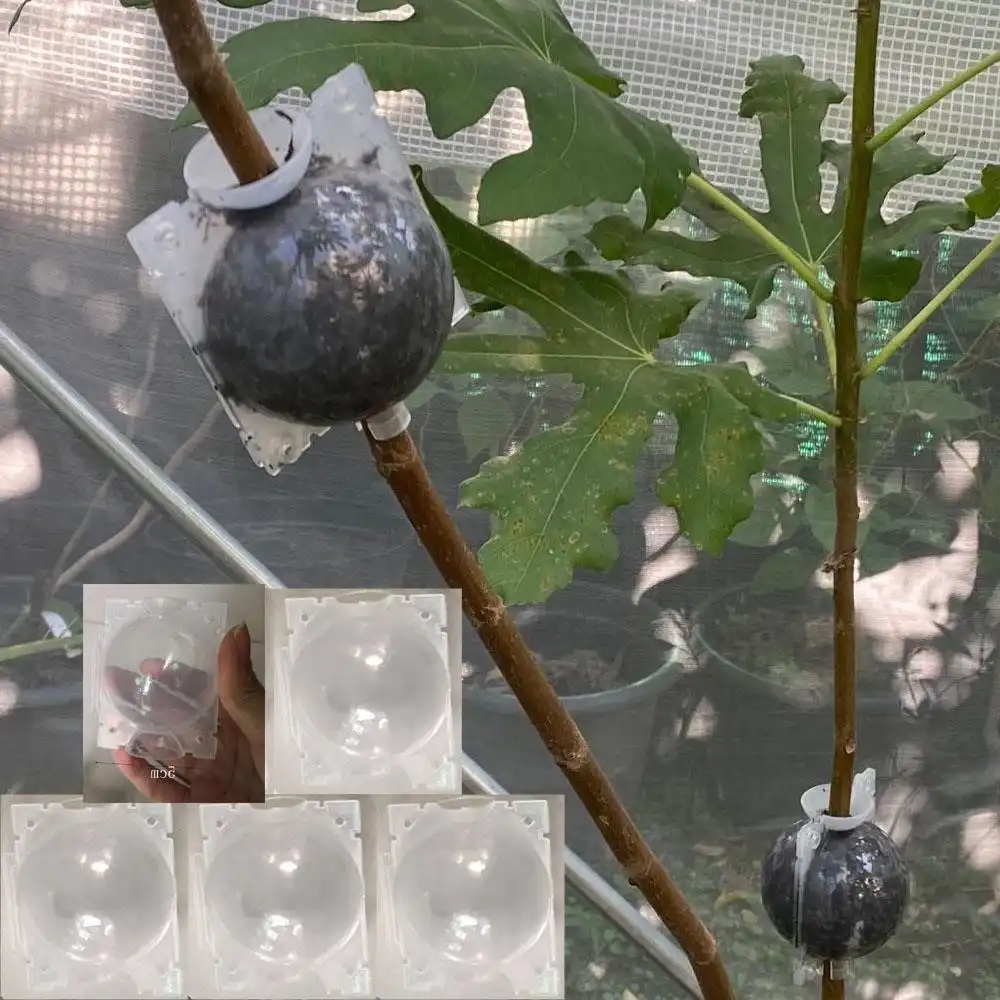 Изображение Контейнер для укоренения растений 