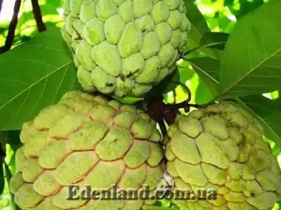 Новое поступление продукции НОЯБРЬ 2020!