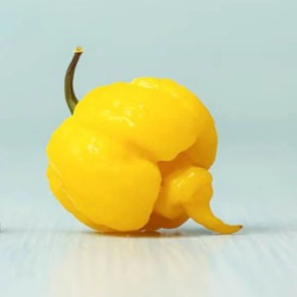 Перець Кароліна Ріпер жовтий - Carolina Reaper Yellow