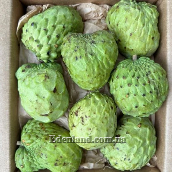 Изображение плоды в продаже