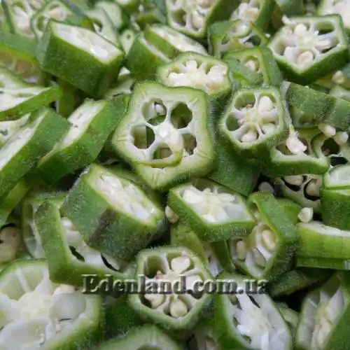 Изображение Абельмошус съедобный -  Abelmoschus esculentus 