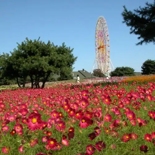 Зображення Оглядове колесо в парку
