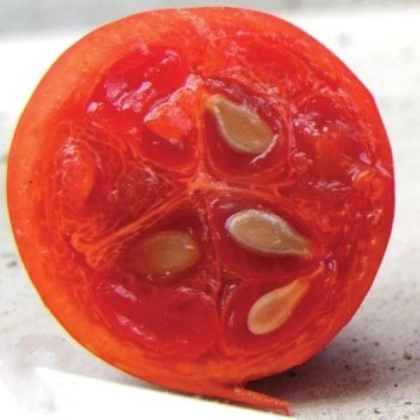 Зображення зрілий плод