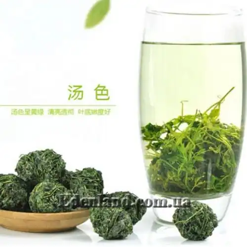 Изображение Гиностемма пятилистная - Gynostemma pentaphyllum