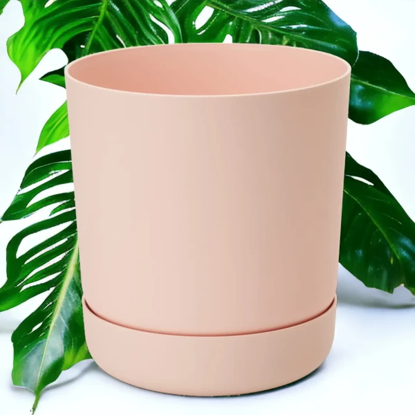 Зображення персик