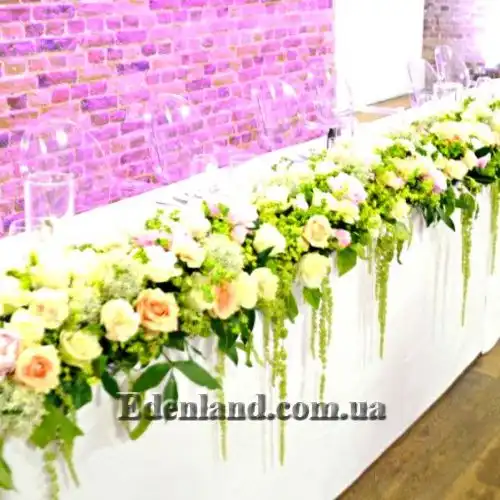 Изображение Амарант хвостатый белый - Amaranthus caudatus var.albiflorus