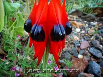 Новое поступление продукции. Июль 2018