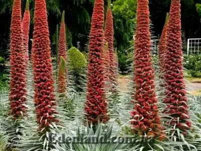 Осеннее поступление продукции в магазин Edenland. Ноябрь 2019