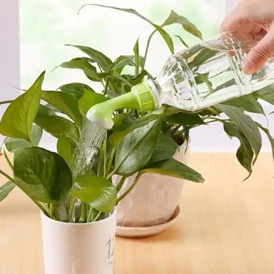 Изображение Насадка-лейка на бутылку