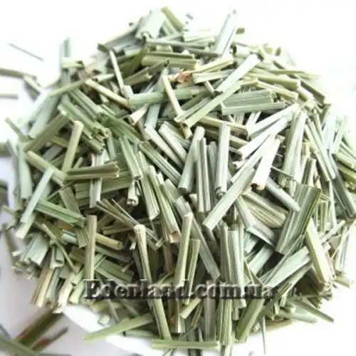 Изображение Цимбопогон извилистый - Cymbopogon flexuosus