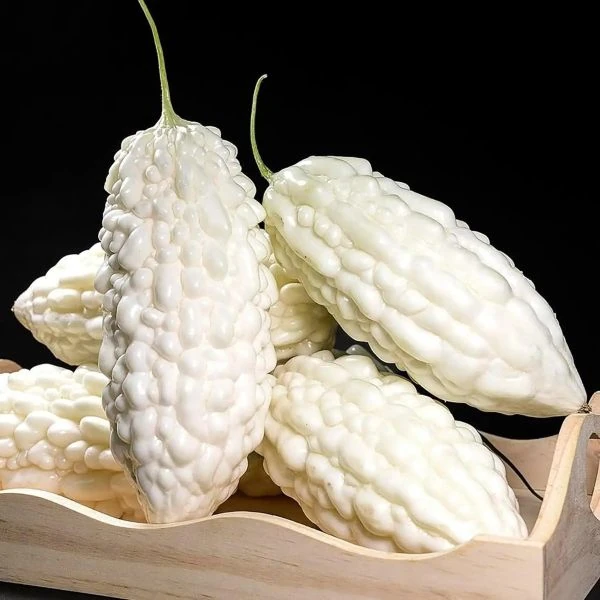 Зображення Момордика харантія ‘Біла’ - Momordica charantia ‘White’ 