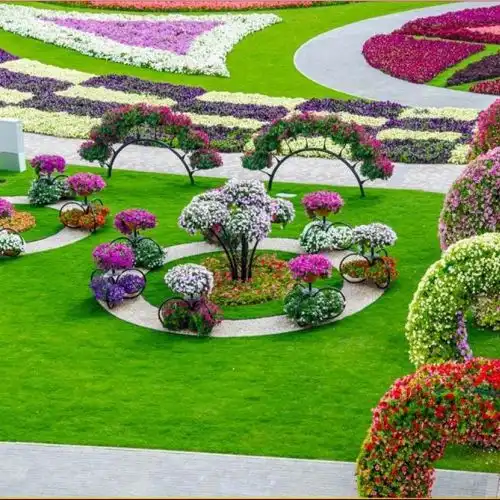 Изображение В Дубай открылся самый большой цветочный парк в мире - Dubai Miracle Garden