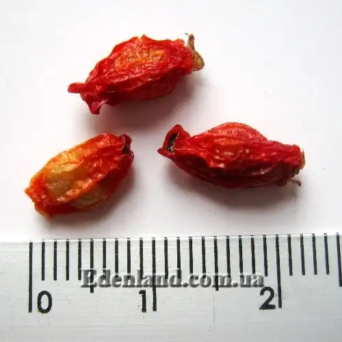 Изображение плоды с семенами