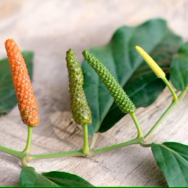 Изображение зеленые и созревающие плоды