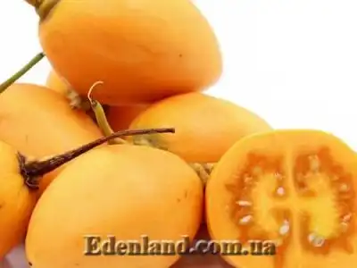 Новое поступление продукции! Январь/Февраль 2021!