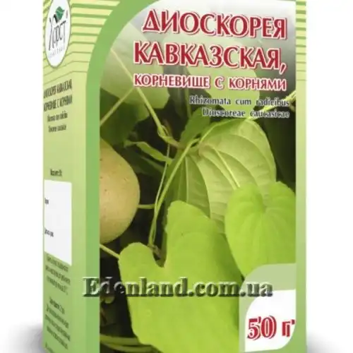 Зображення Діоскорея кавказька - Dioscorea caucasica 