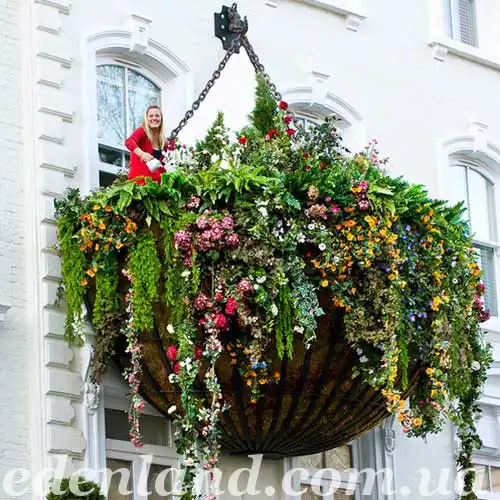 Висячі сади Паддінгтона