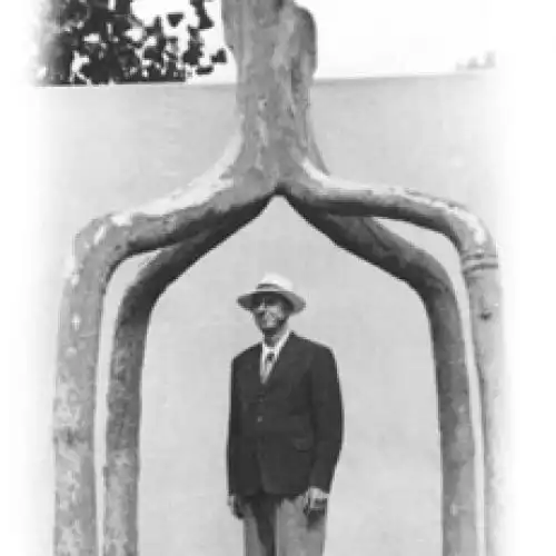 Изображение Цирк деревьев