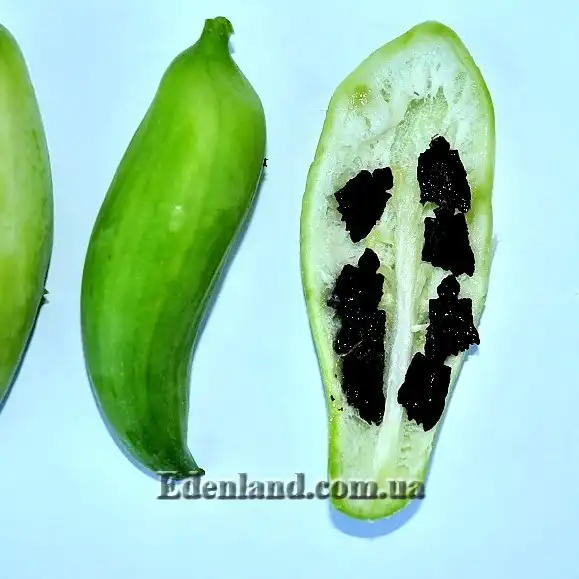 Изображение созревший плод с семенами