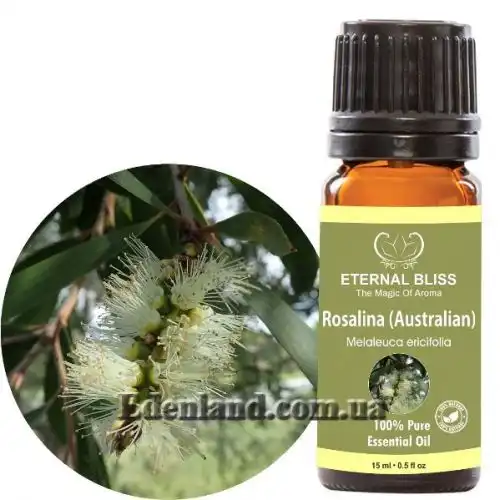 Изображение Мелалеука вересколистная - Melaleuca ericifolia